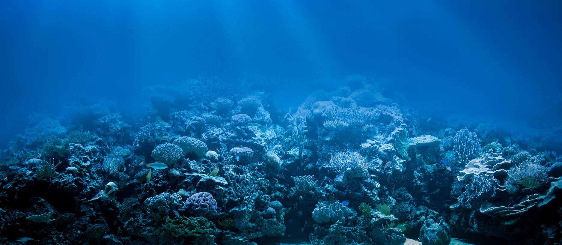 Coburg Aquarium zxx zxx zxx
