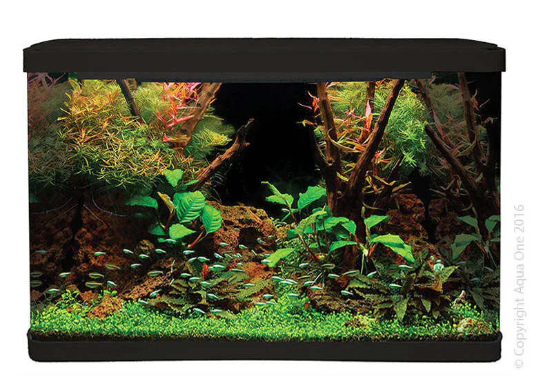 Aqua One LifeStyle 127 Complete Glass Aquarium 80cm 127L Gloss Black - Image 2
