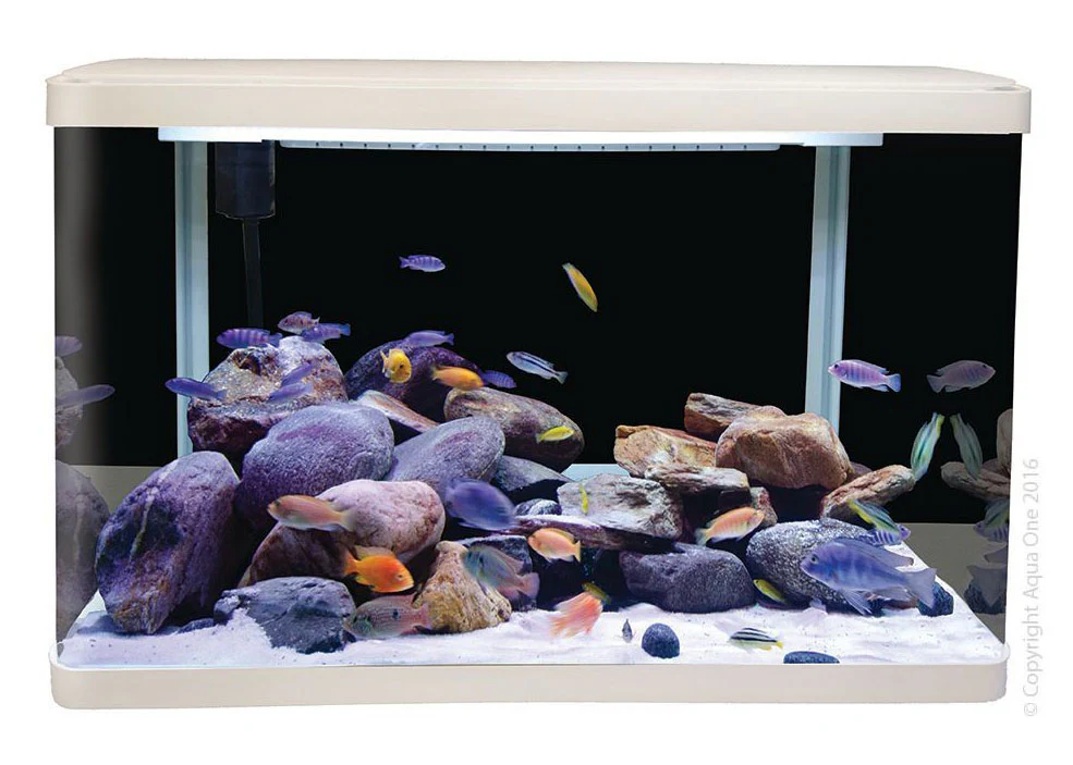 Aqua One LifeStyle 127 Complete Glass Aquarium 80cm 127L Gloss Black - Image 3