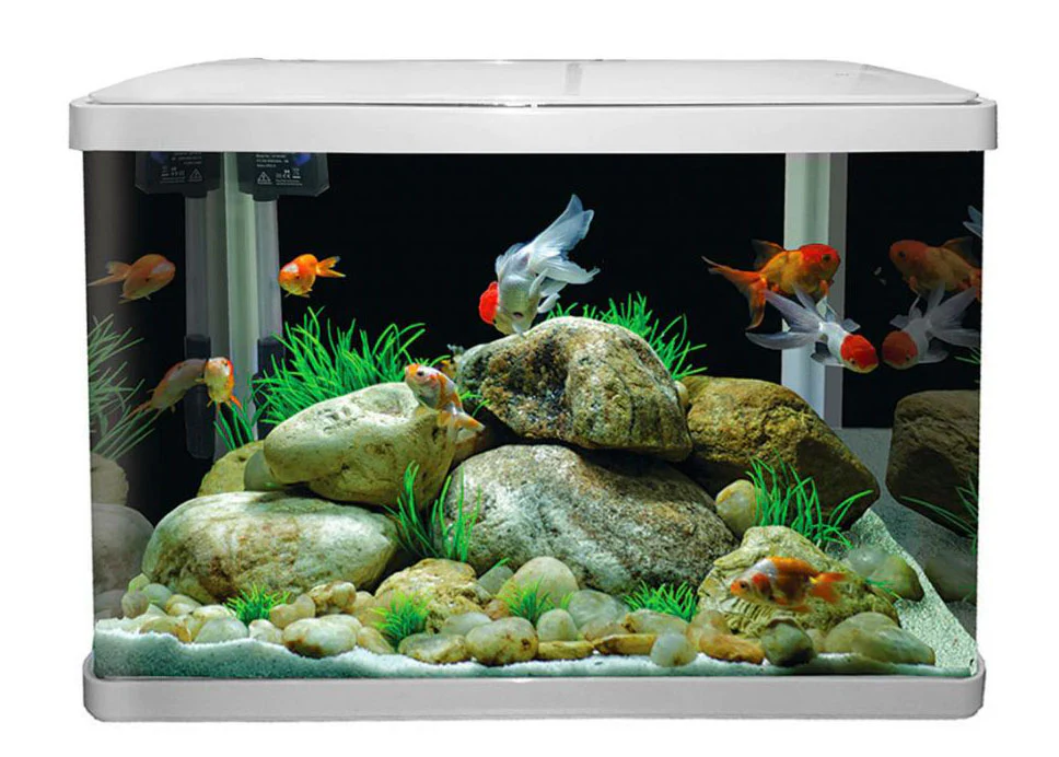 Aqua One LifeStyle 52 Complete Glass Aquarium 51cm 52L Gloss Black - Image 3