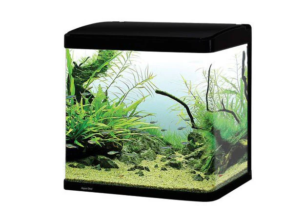 Aqua One LifeStyle 52 Complete Glass Aquarium 51cm 52L Gloss Black - Image 4
