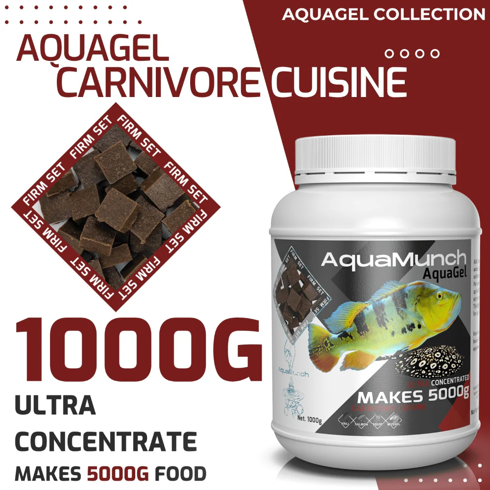 AquaMunch AquaGel Carnivore Cuisine - Image 4