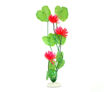 AquarWorld Water Lily