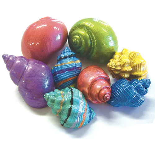 Assorted Hermit Crab Shells