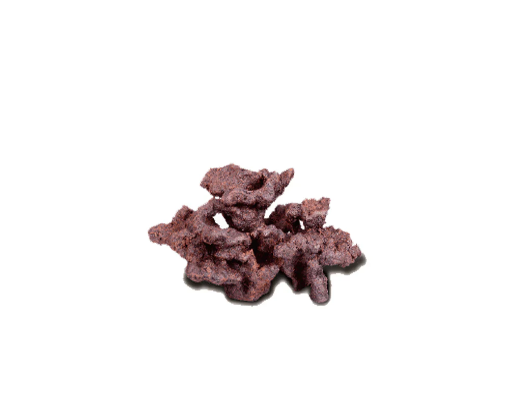 Bio-active Rock - Image 10