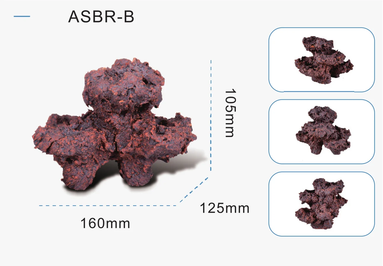 Bio-active Rock - Image 12