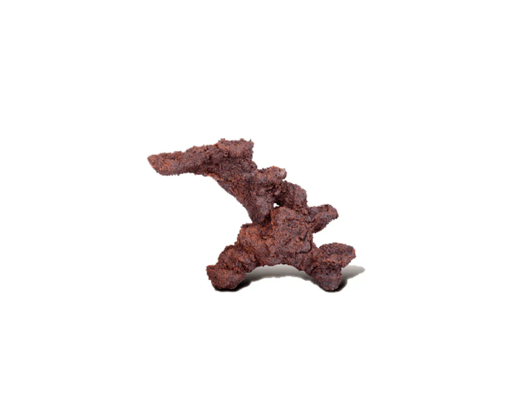 Bio-active Rock - Image 6