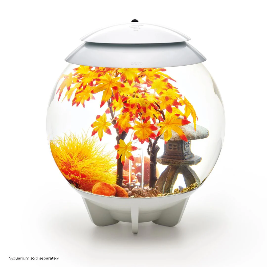 biOrb Decor Set Autumn - Image 2