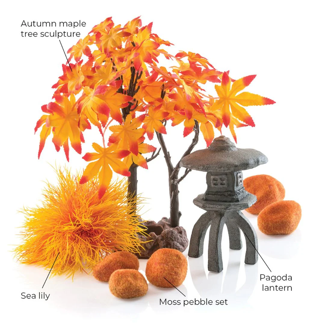 biOrb Decor Set Autumn - Image 3