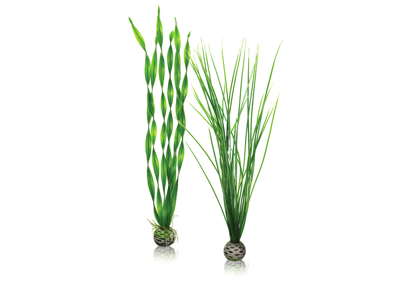biOrb Easy Plant Set Green - Image 3
