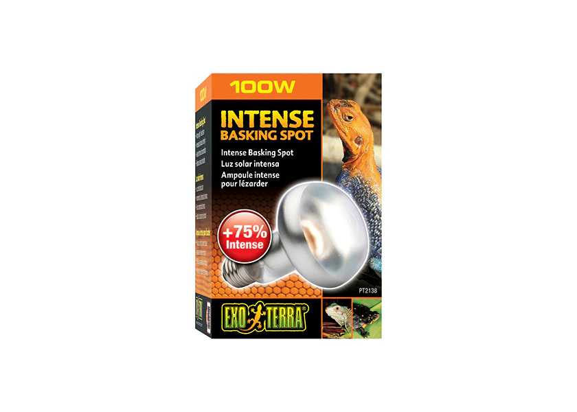 Exo Terra Intense Basking Spot Lamp - Image 3