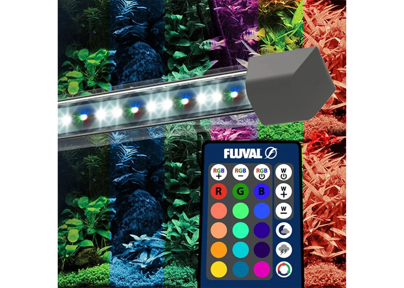 Fluval Flex Aquarium - Image 4