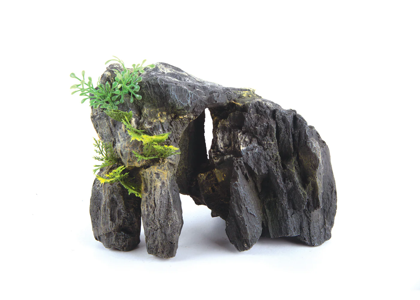 Kazoo Granite Rock With Plant - Image 2