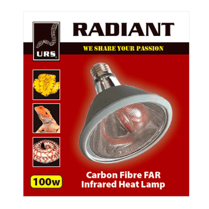 Radiant Globe