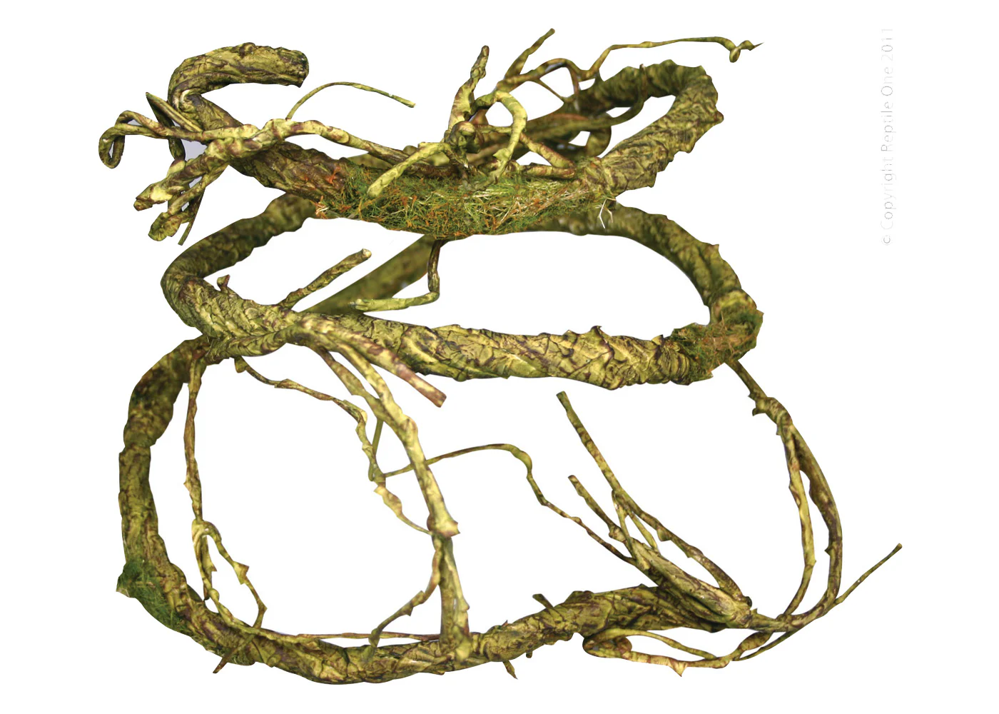 Reptile One Plant Reptile Vine-jungle Twist Moss - Image 2