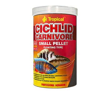 Tropical Cichlid Small Carnivore