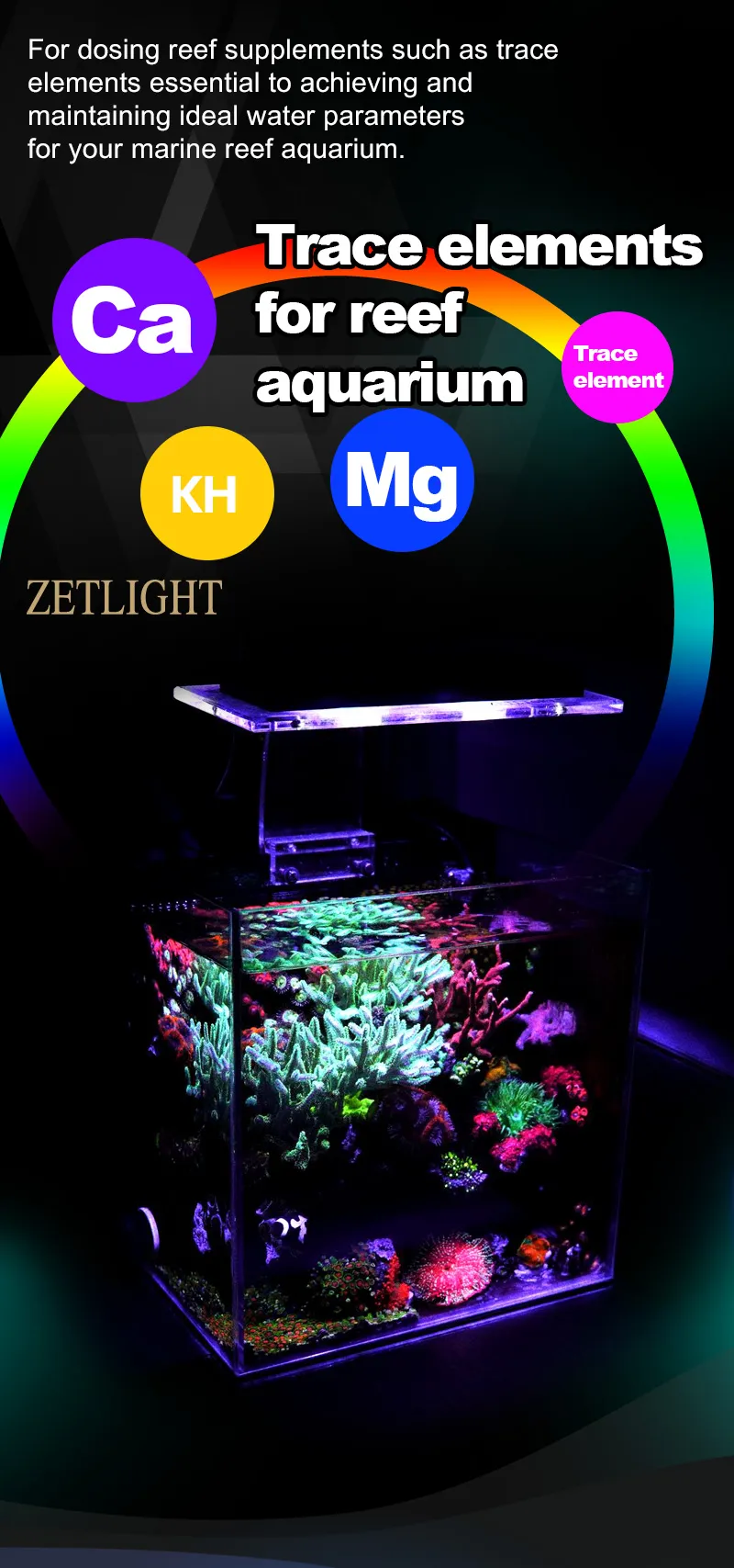 Zetlight - Dosing Pump - Image 14