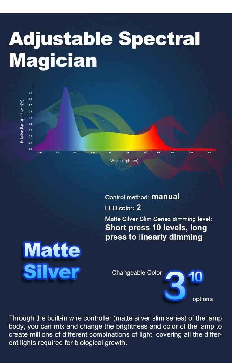 Zetlight - MS Marine - Image 6