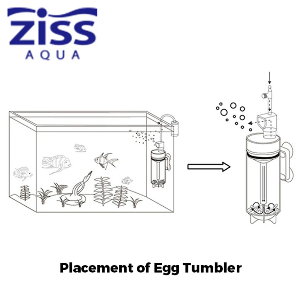 ZISS Aqua - Egg Tumbler - ZET-65 - Image 4
